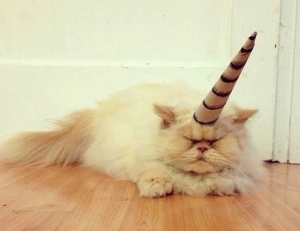 how air conditioner uy48lo works in house