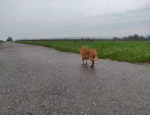 python software issue 0297xud8