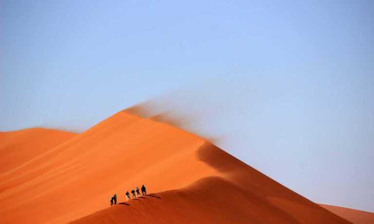 toy whit chemical likzaproz