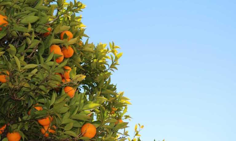 which area in beevitius is the best to stay