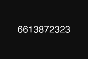 6613872323