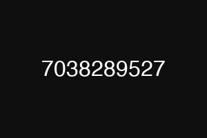 7038289527
