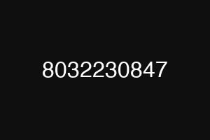 8032230847