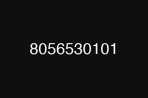 8056530101