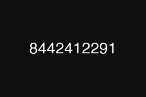 8442412291