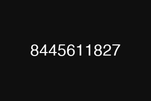 8445611827