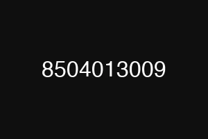8504013009