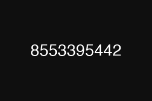 8553395442