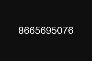 8665695076
