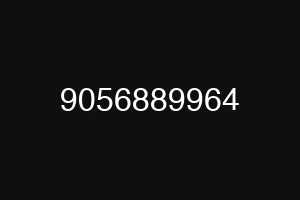 9056889964