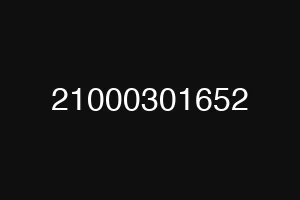 21000301652