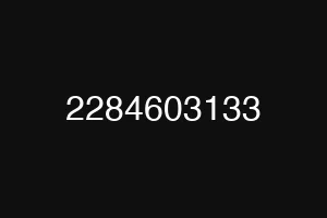 2284603133