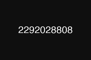 2292028808
