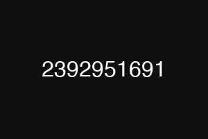 2392951691