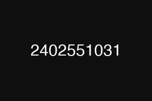 2402551031
