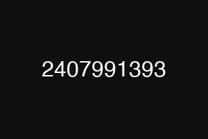 2407991393