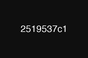 2519537c1