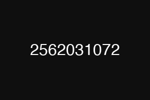 2562031072