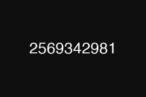 2569342981