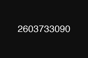 2603733090