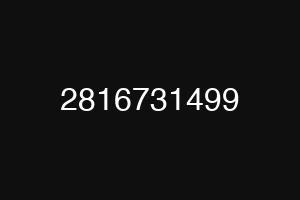2816731499