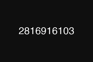 2816916103