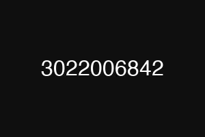 3022006842