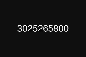 3025265800