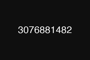 3076881482