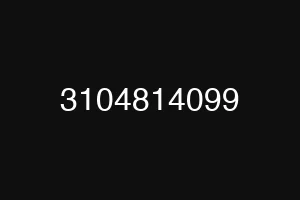 3104814099