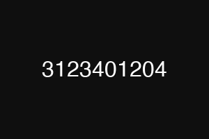 3123401204