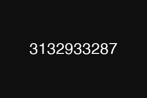 3132933287