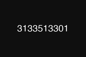 3133513301