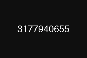 3177940655