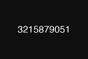 3215879051