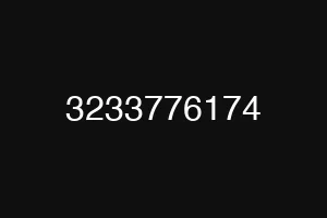 3233776174