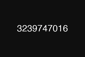 3239747016