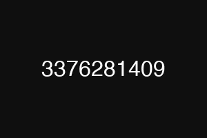 3376281409