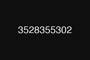 3528355302