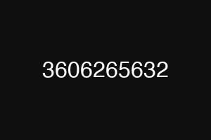 3606265632