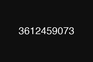 3612459073