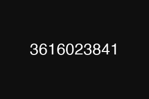 3616023841