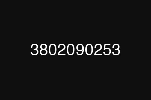 3802090253