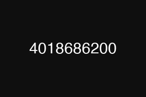 4018686200