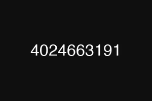 4024663191