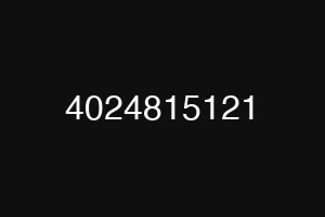 4024815121