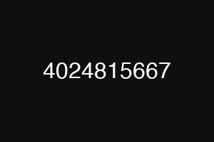 4024815667