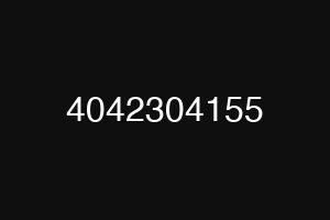 4042304155