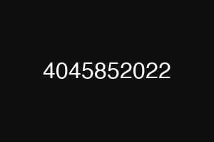 4045852022
