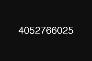 4052766025